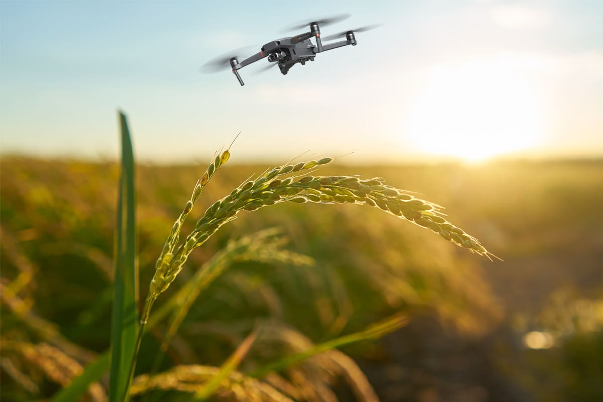 Mapeamento e Topografia Aérea em Fazendas Cristalina Goiás